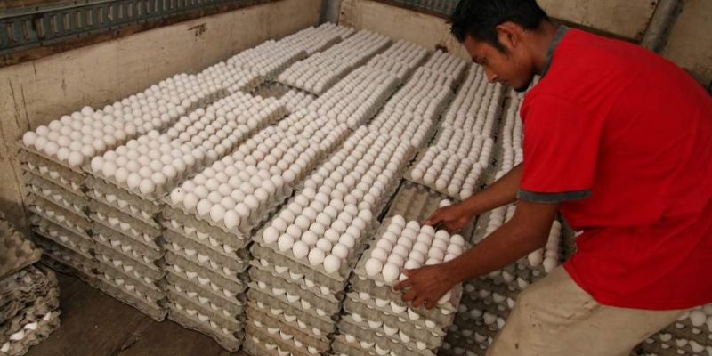 Responsabilizan a distribuidores por la subida del precio del huevo