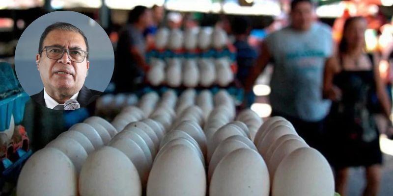 Responsabilizan a distribuidores por la subida del precio del huevo