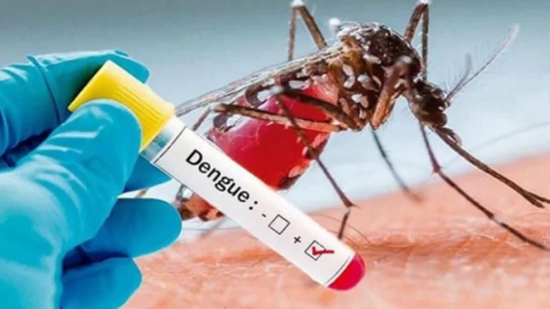 Positividad dengue Tegucigalpa