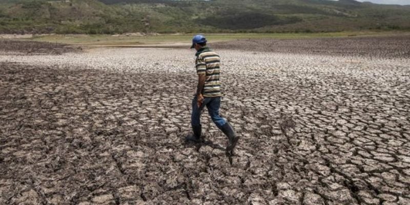 ONU: Honduras, uno de los países más peligrosos para defensores del medio ambiente