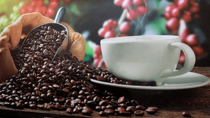 Honduras principal exportador café