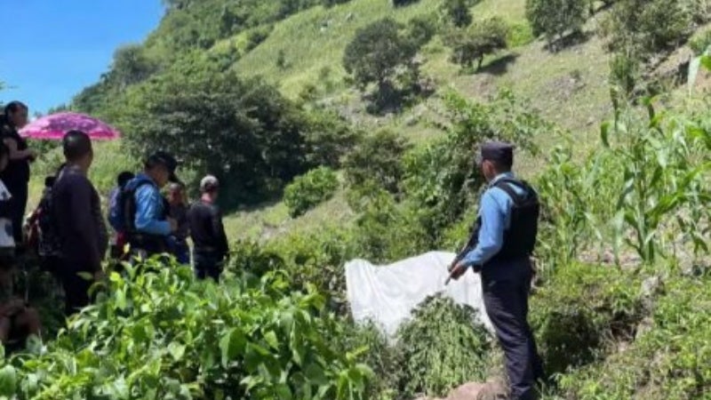 LEPAERA