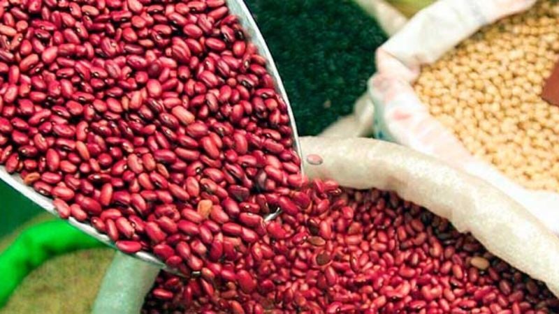 Garantizan abastecimiento frijol maíz