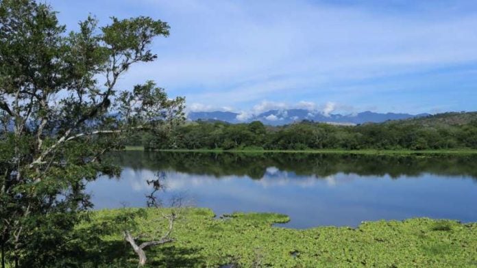 Laguna de Jucutuma