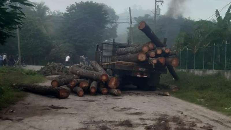 Bloquean carretera por tala de bosque