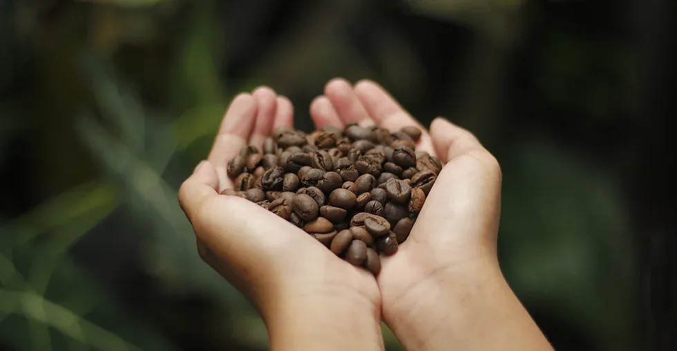 El café es la primera fuente de divisas por ventas al extranjero de Honduras.