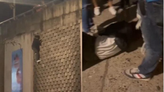 Joven cae desde un puente que intentó escalar durante el carnaval de TGU