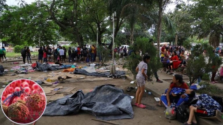 Malaria en El Paraíso