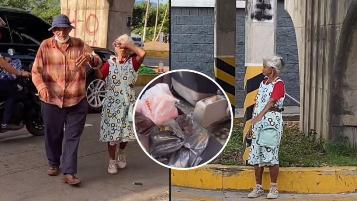 joven regala comida a ancianos