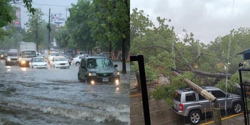 Calles inundadas y caída de árboles por constantes lluvias en San Pedro Sula