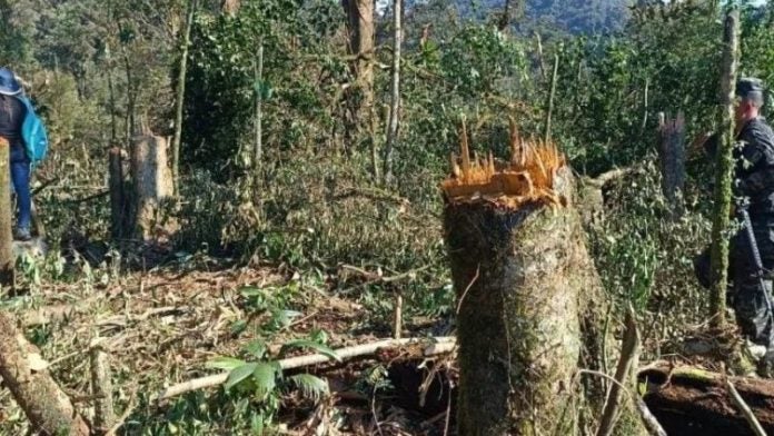 Requerimiento mujer explotación recursos