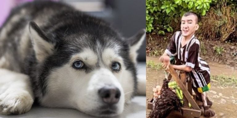 Joven con discapacidad sale adelante con ayuda de su perro