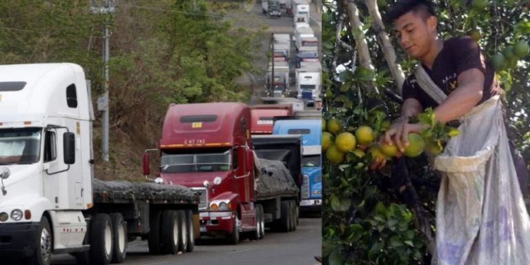 Productores reportan pérdidas millonarias por visado costarricense