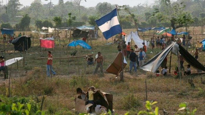 Invasiones de tierras dejarán más de 2 millones de pérdidas