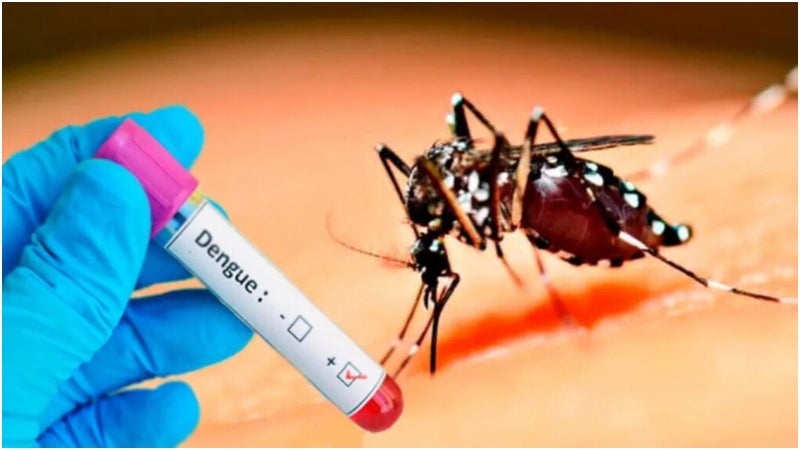 Infectados por dengue en 2023