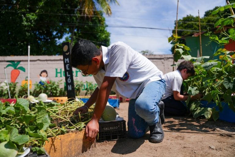 Niños aprenden a cultivar sus propios alimentos en escuelas de SPS