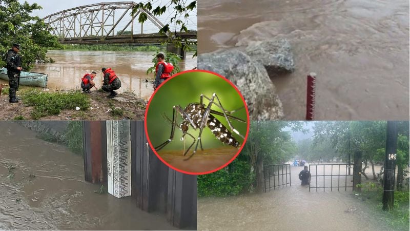 Aumento dengue temporal lluvioso