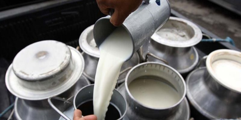 Ganaderos de Catacamas rechazan rebaja a la leche; advierten tomas