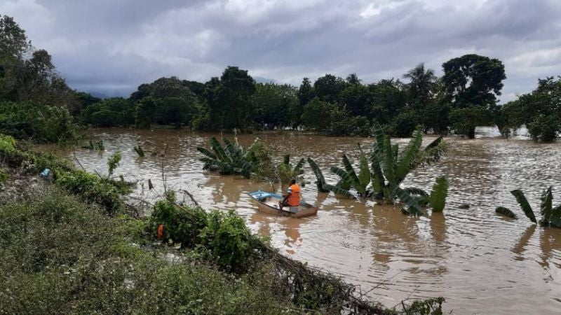 Unas 50 mil hectáreas de palma, afectadas por las lluvias en Atlántida