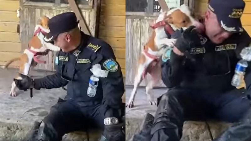 Reacción de perrito a policía.