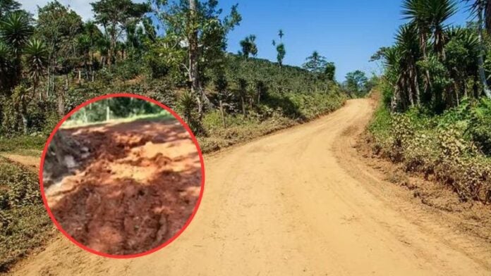 Emergencia Nueva Frontera