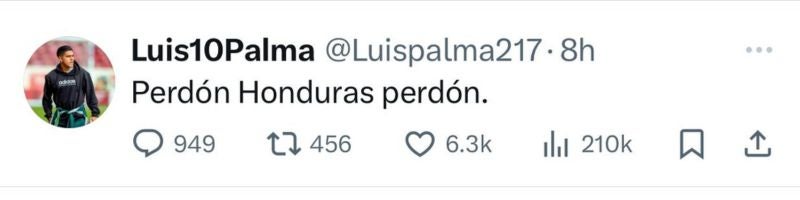 Supremo contra Luis Palma