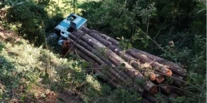 Rastra cargada de madera cae a un abismo en Danlí