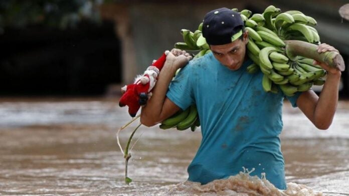 río Ulúa inunda fincas bananeras