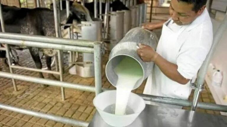 Productores de leche asambleas