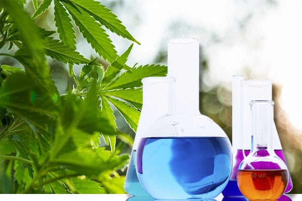 Químico de la UNAH expone sobre cannabinoides sintéticos en Honduras