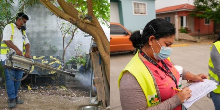 fumigan en Bosques de Jucutuma