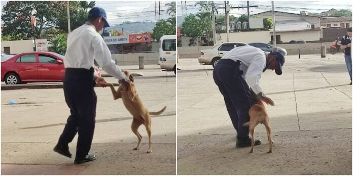 guardia de seguridad