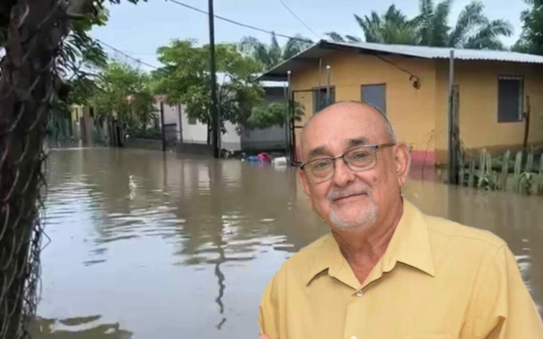 Choloma inundada