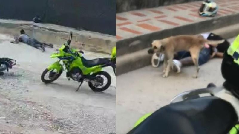 Perrito orinó a un hombre capturado por el robo de un celular en Colombia