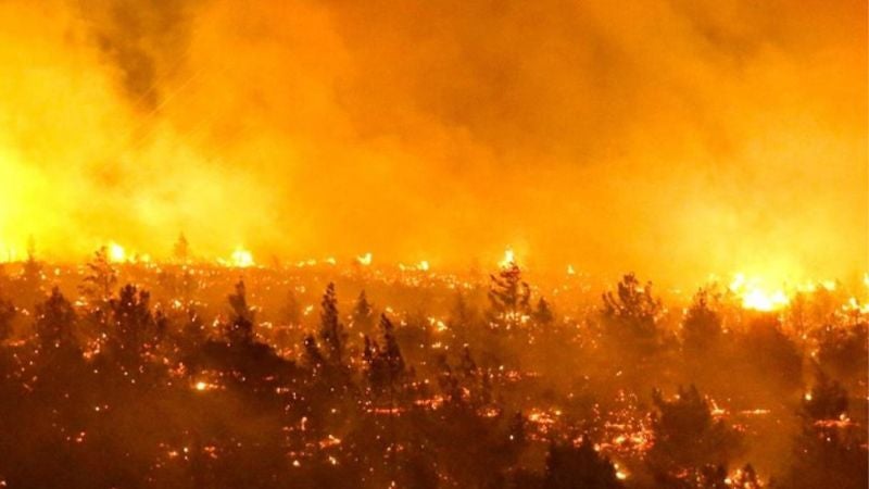 7 heridos y más de 2,000 hectáreas calcinadas por incendios forestales en Chile