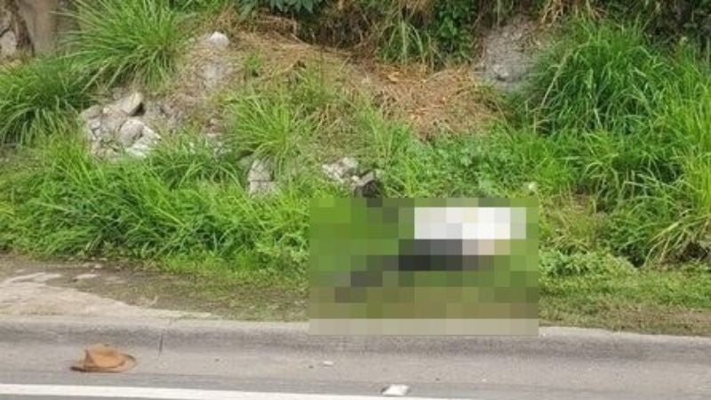 Hallan muerto a hombre en el bulevar Fuerzas Armadas.