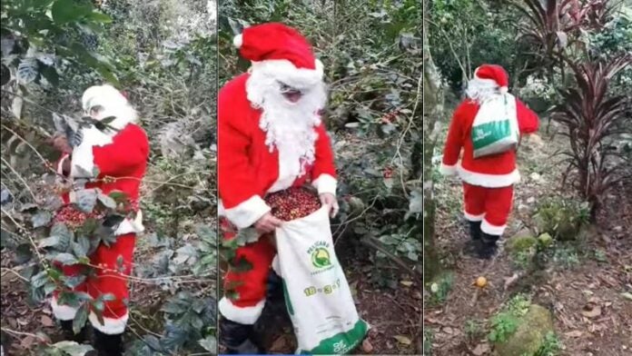 Santa Claus en Santa Bárbara