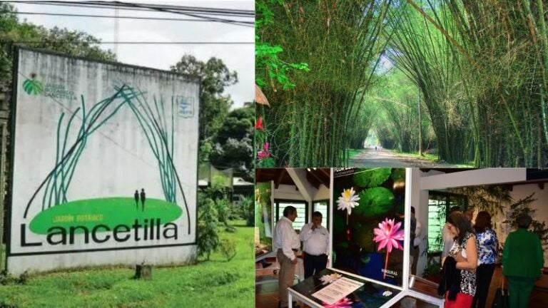 Turismo reapertura el Centro de Visitantes del Jardín Botánico Lancetilla