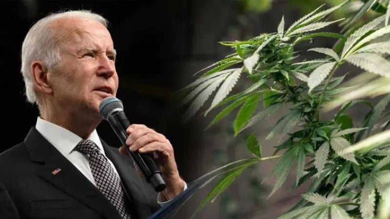 Biden indulta a miles de condenados por consumo o posesión de marihuana