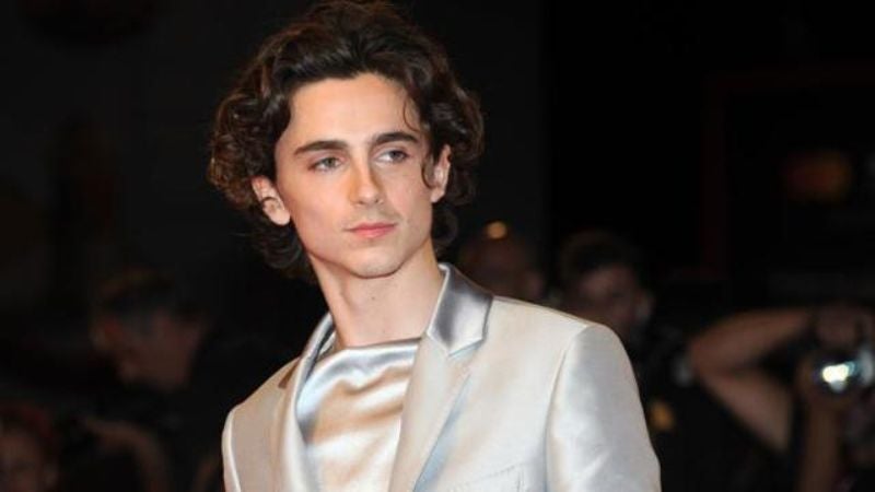 Timothée Chalamet el hombre más guapo