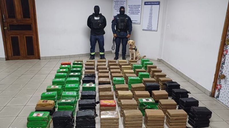 Decomisan 395 paquetes de droga en contendor procedente de Honduras