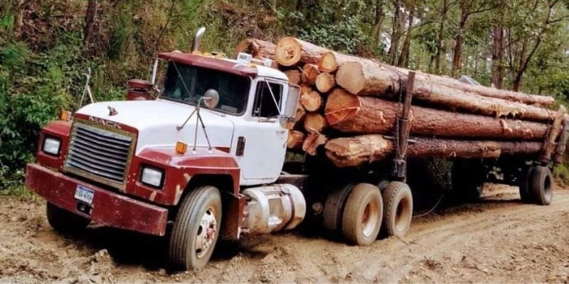 Muere conductor de una rastra cargada de madera en Olancho 
