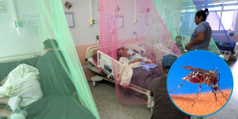 Hospital Regional de Comayagua registra 500 ingresos semanalmente por dengue