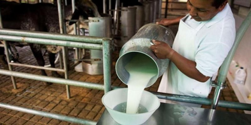 Productores e industriales negocian aumentos al precio del litro de leche
