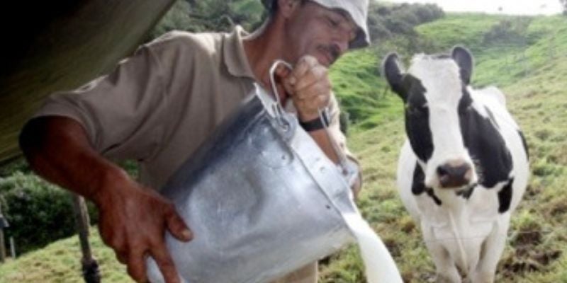Productores e industriales negocian aumentos al precio del litro de leche