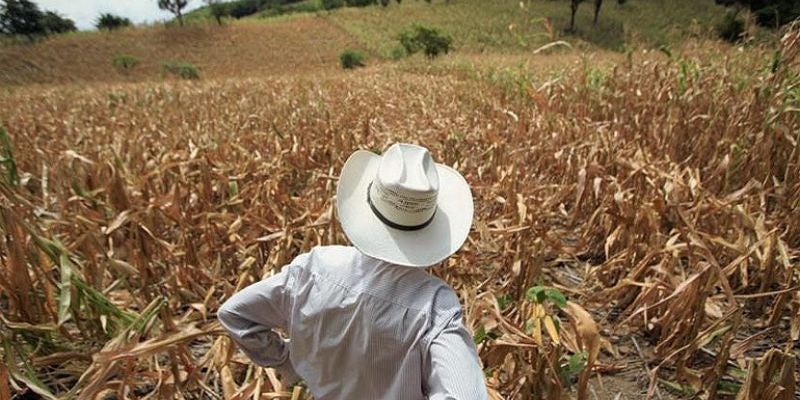 Fenómeno del El Niño continuará afectando a Honduras en el 2024