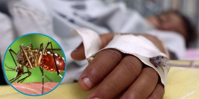 El dengue le arrebata la vida a un menor en TGU y un joven en Cortés