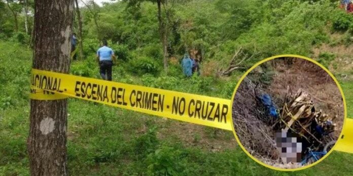 Un hombre muere al caer a una hondonada con una carga de leña en Choluteca