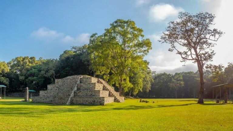 Miles de hondureños visitaron las fascinantes ruinas de Copán este año