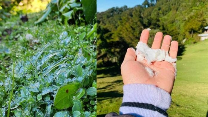 Captan nieve El Salvador